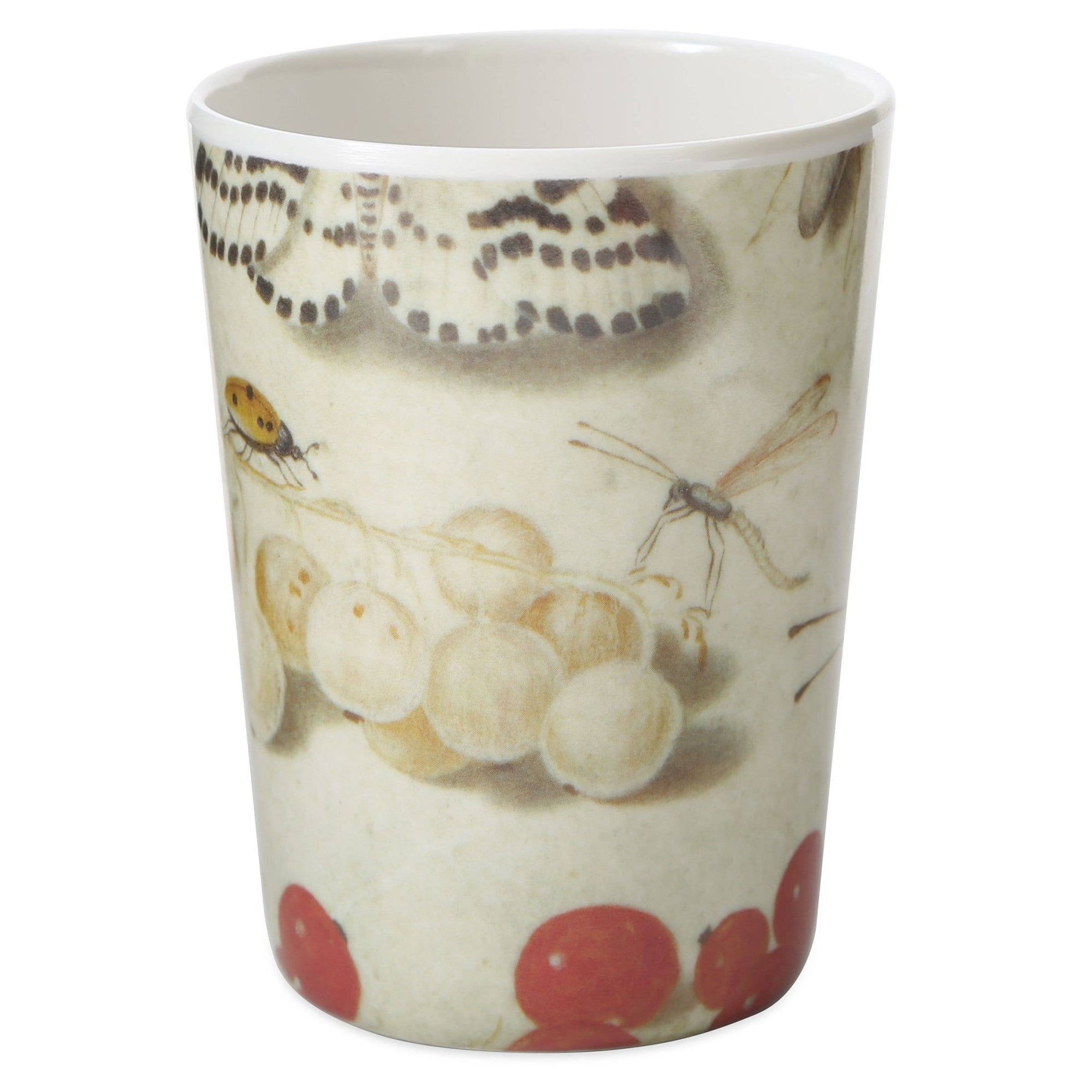 Specimen Tumblers - Box Turtle