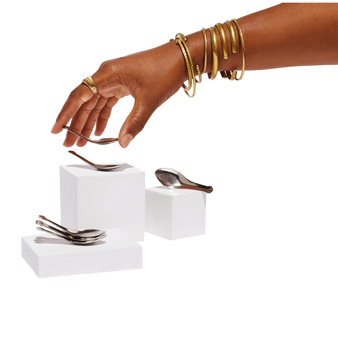 Spice Spoon - Box Turtle