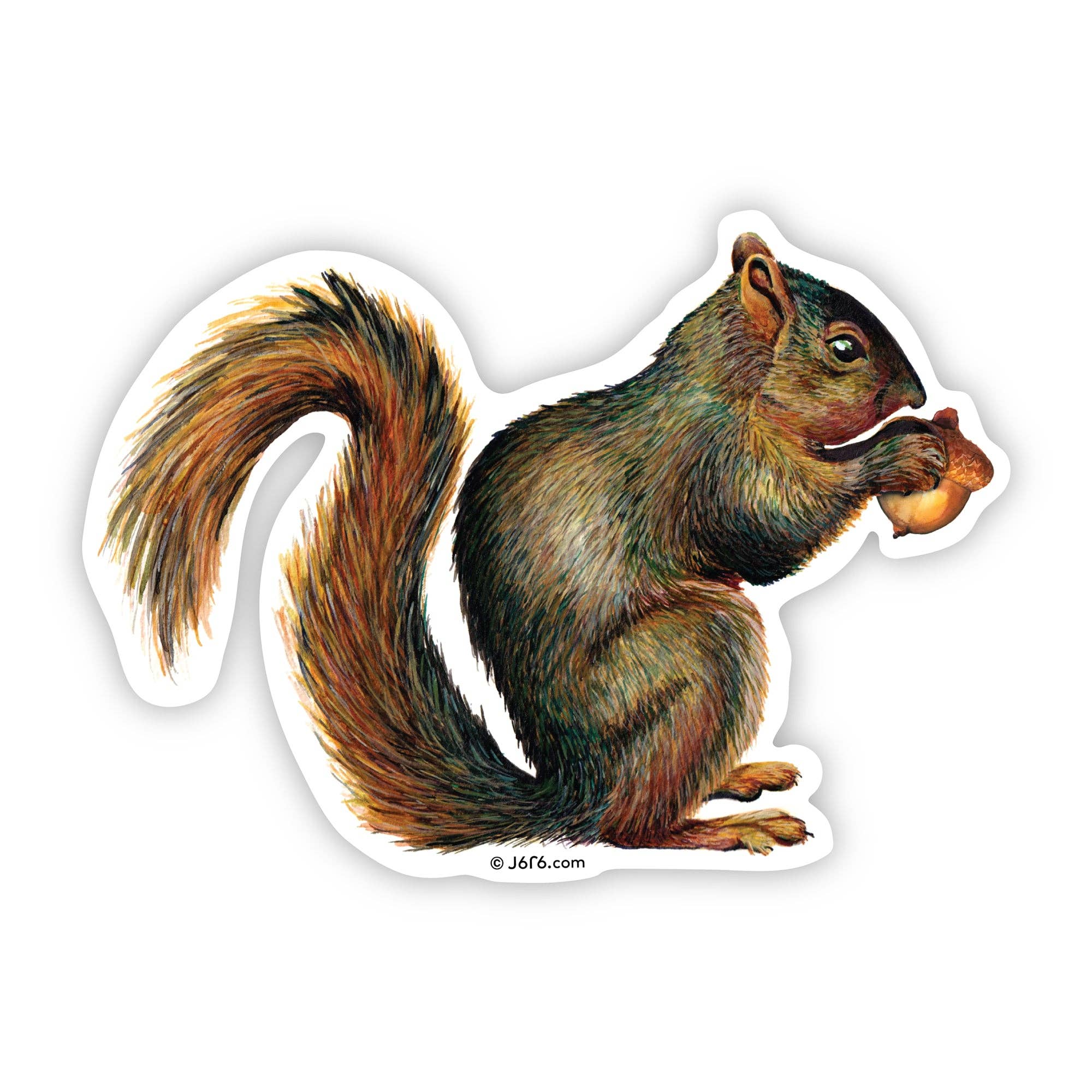 Squirrel with Acorn Vinyl Sticker - Box Turtle