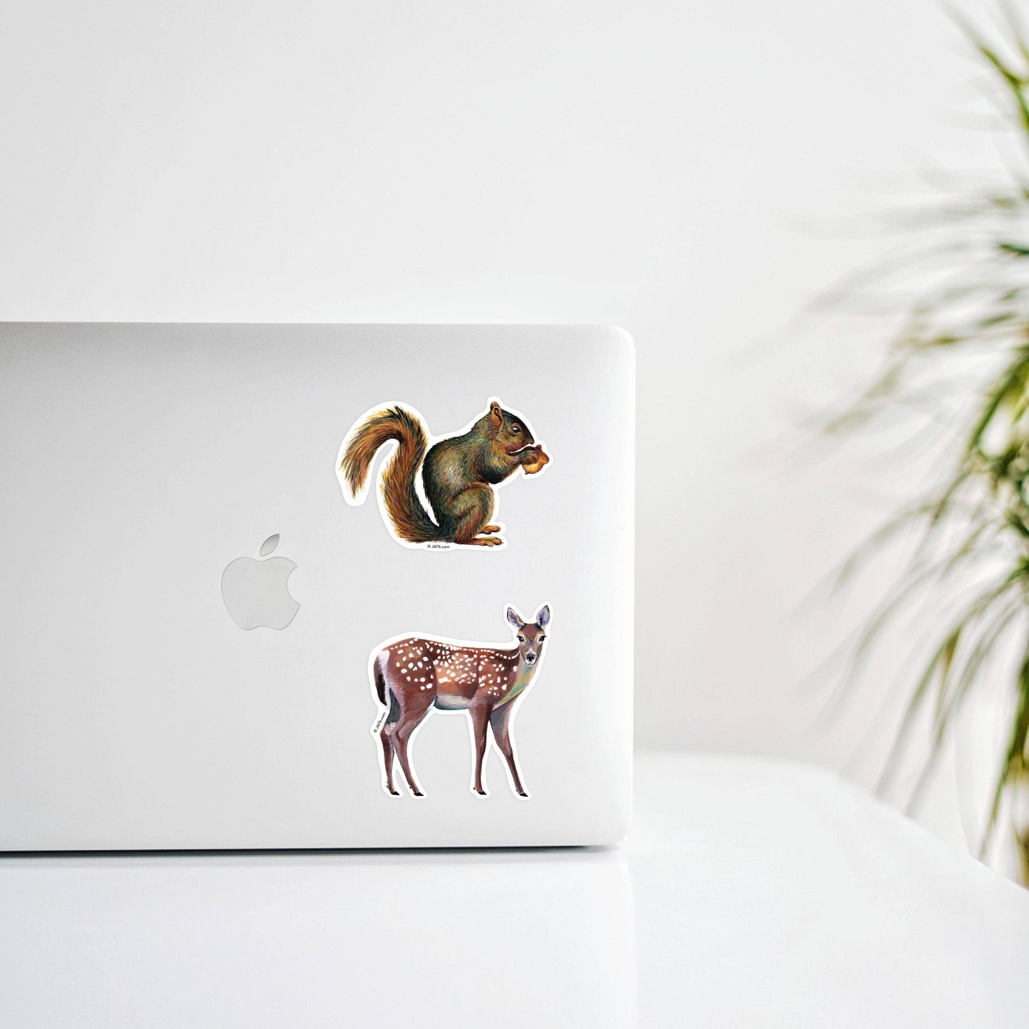 Squirrel with Acorn Vinyl Sticker - Box Turtle