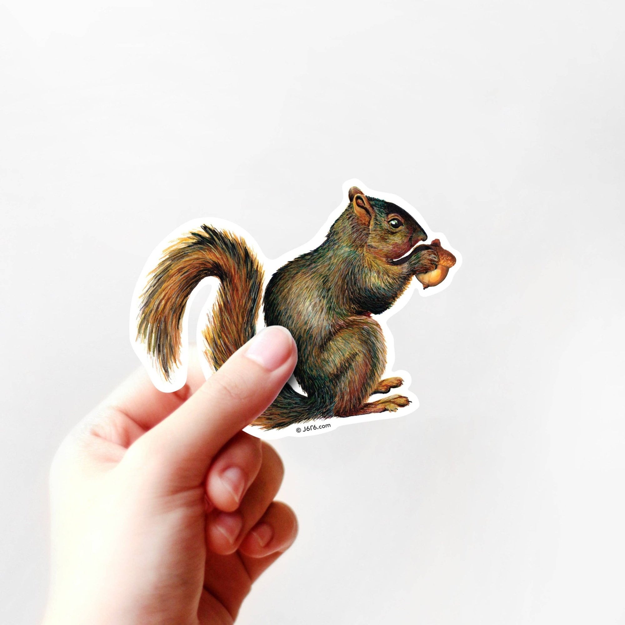 Squirrel with Acorn Vinyl Sticker - Box Turtle