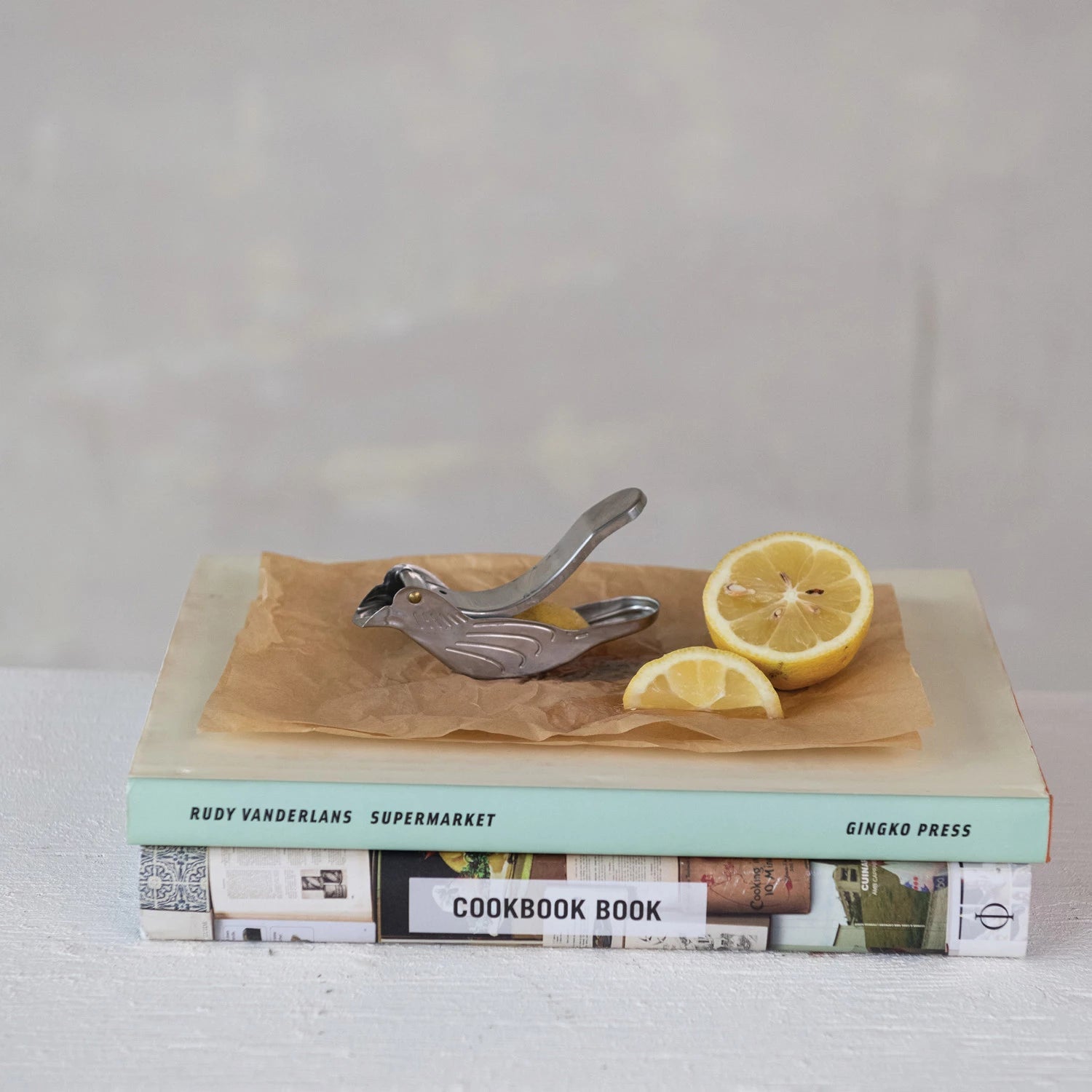 Stainless Steel Bird Shaped Juicer - Box Turtle