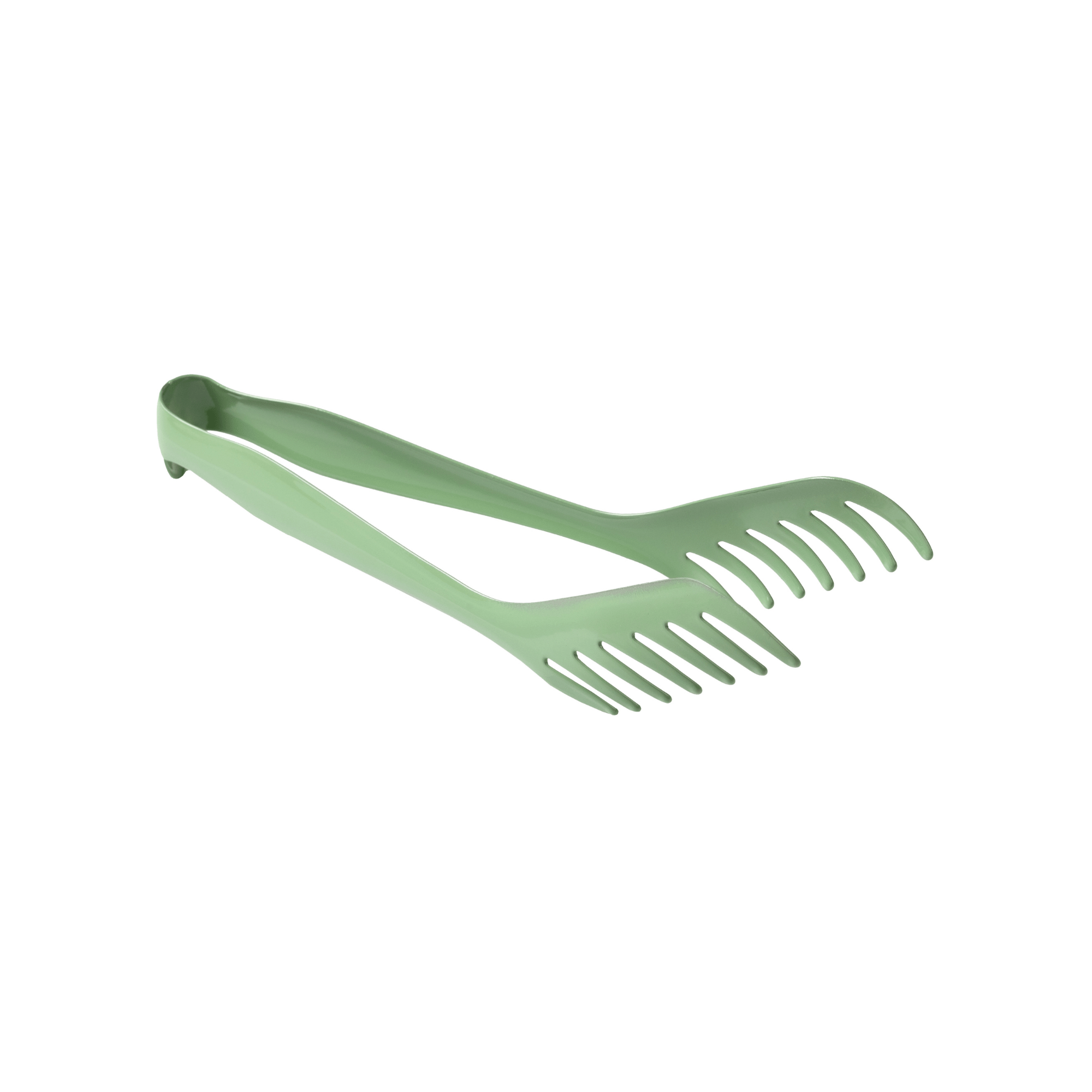 Stainless Steel Serving Tongs - Box Turtle