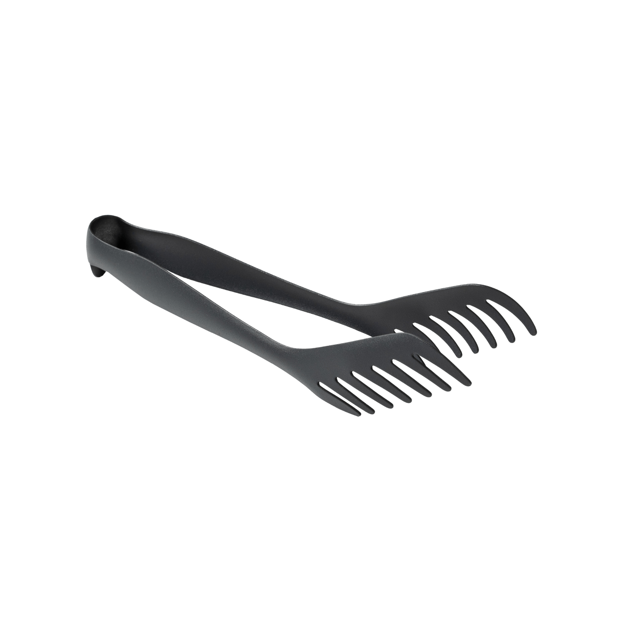 Stainless Steel Serving Tongs - Box Turtle