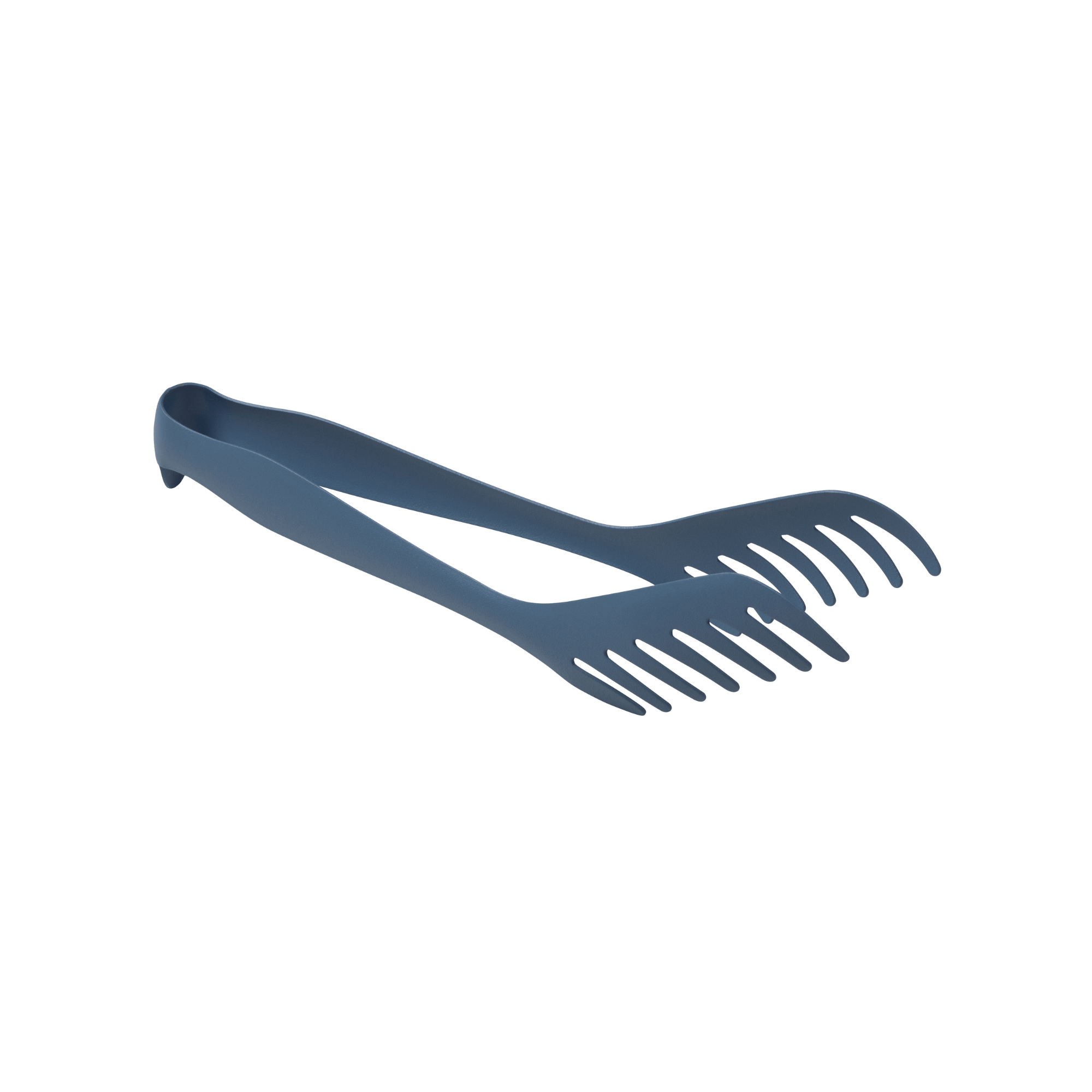 Stainless Steel Serving Tongs - Box Turtle