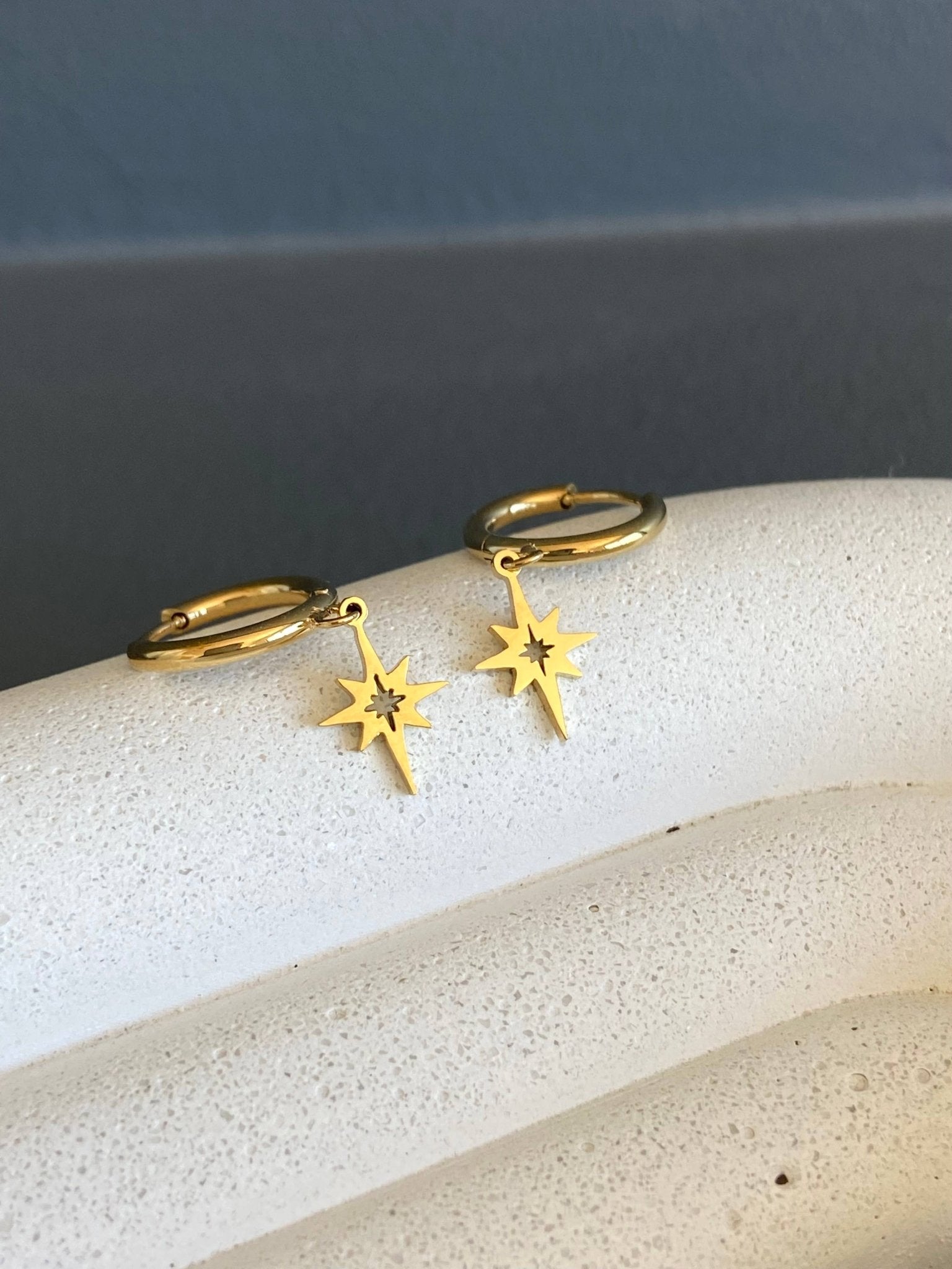 Stella Earrings - Box Turtle