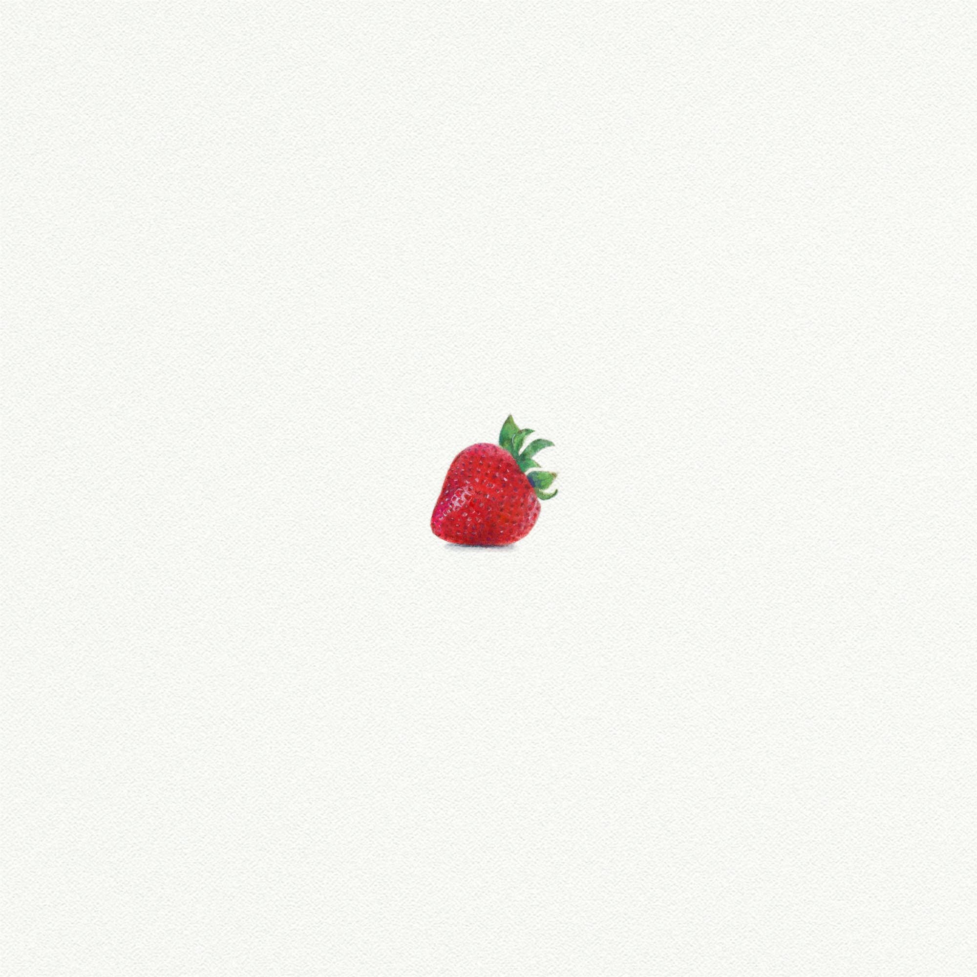 Strawberry Miniature Watercolor Print - Box Turtle