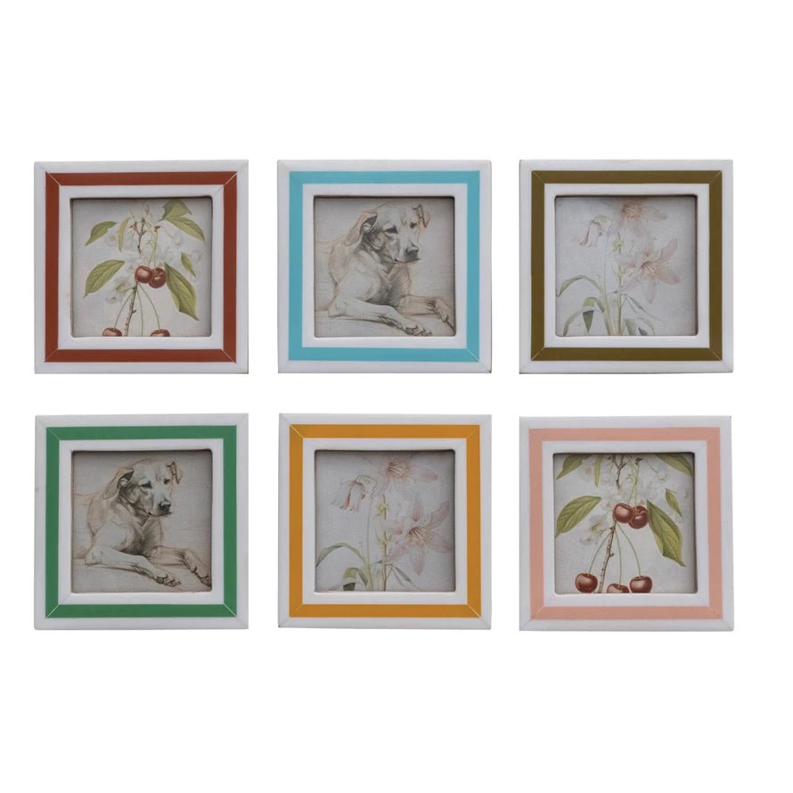 Stripe Resin & MDF Photo Frame Magnet - Box Turtle