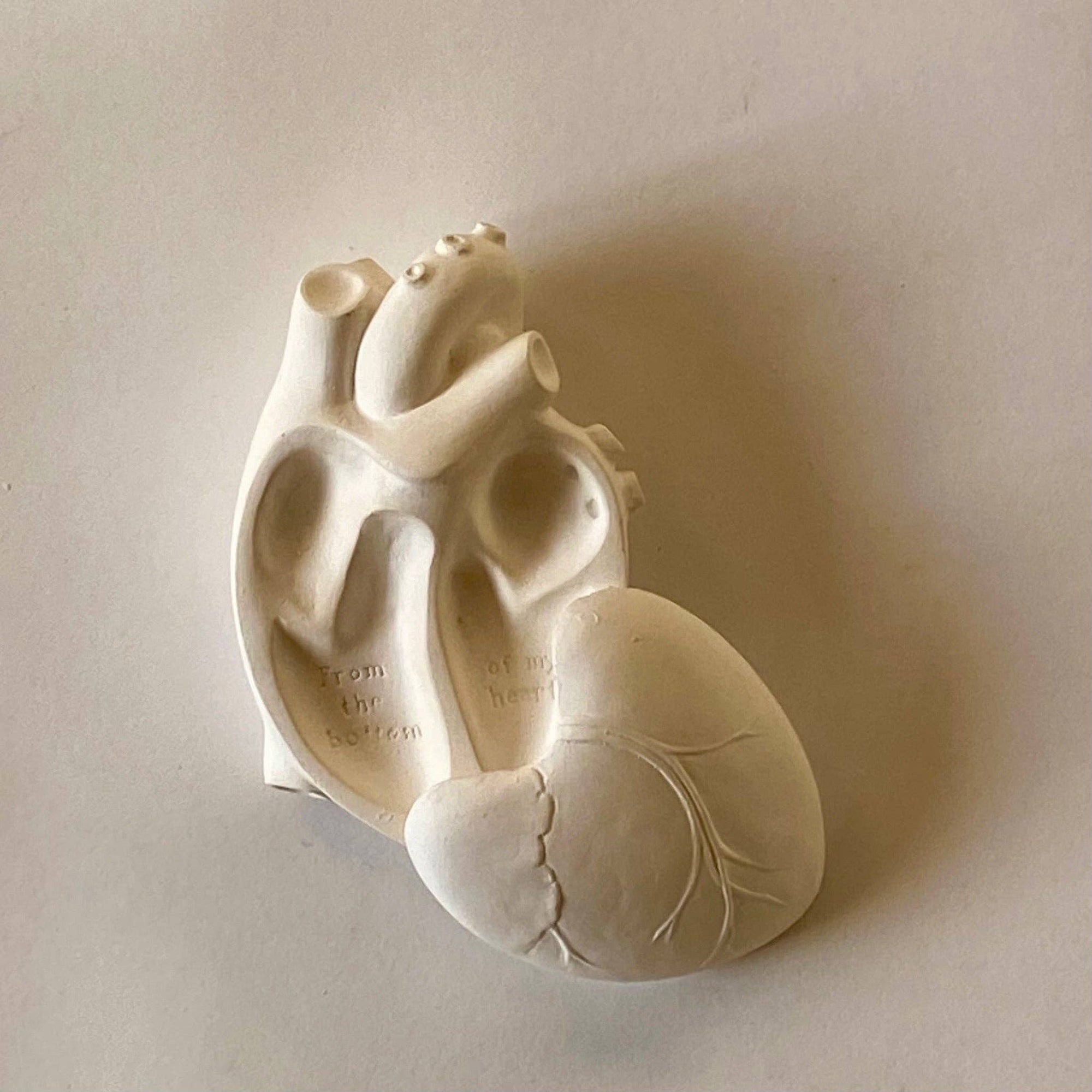 Studio White Heart Box - Box Turtle