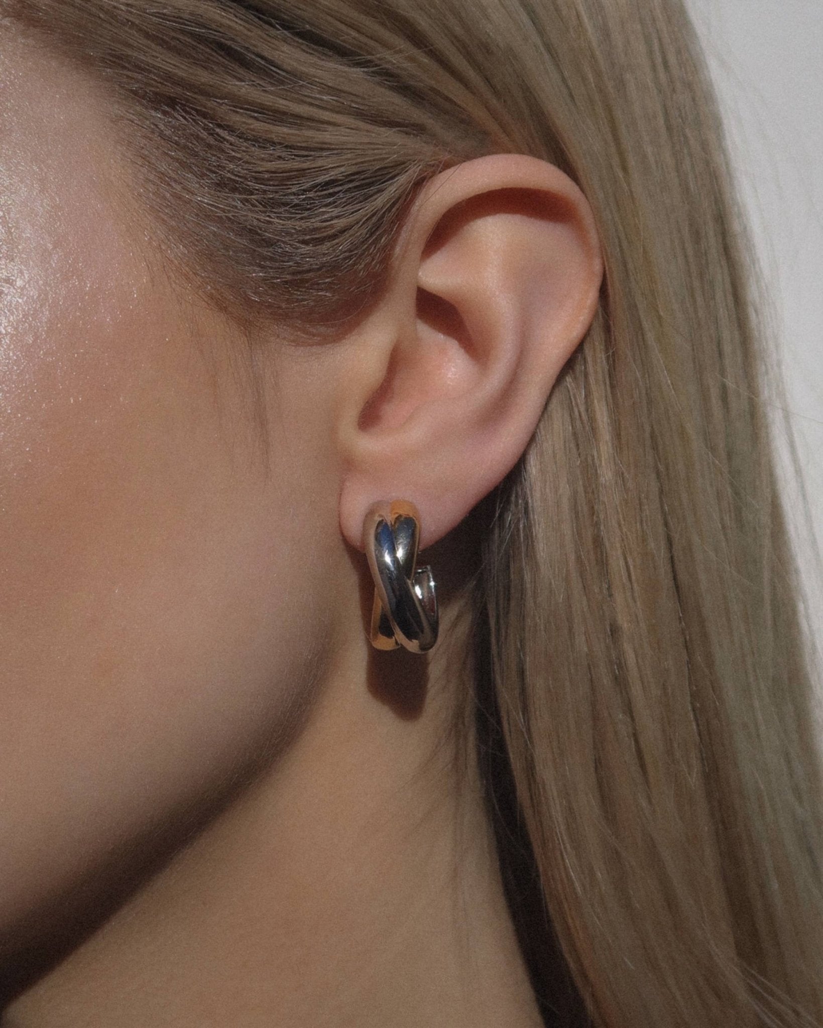 Sullivan Two - Toned Hoops - Box Turtle