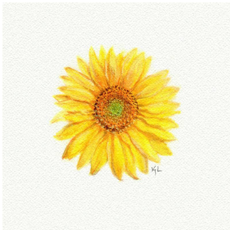 Sunflower Miniature Watercolor Print - Box Turtle