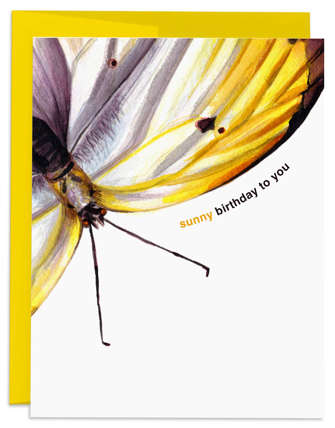 Sunny Butterfly Birthday Card - Box Turtle