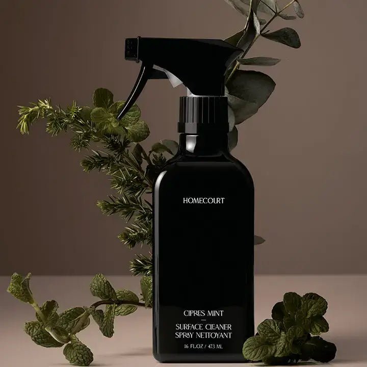 Surface Cleaner - Cipres Mint - Box Turtle