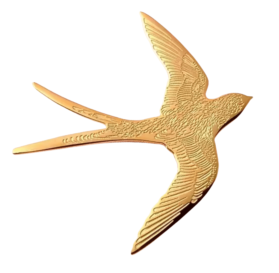 Swallow Bird Broach - Box Turtle