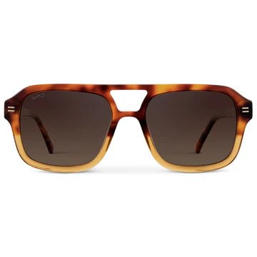 Sydney Sunglasses - Box Turtle