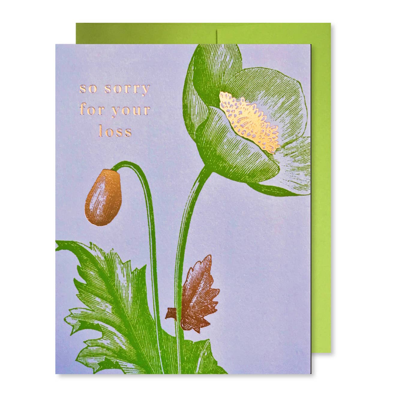 Sympathy Poppy - Box Turtle