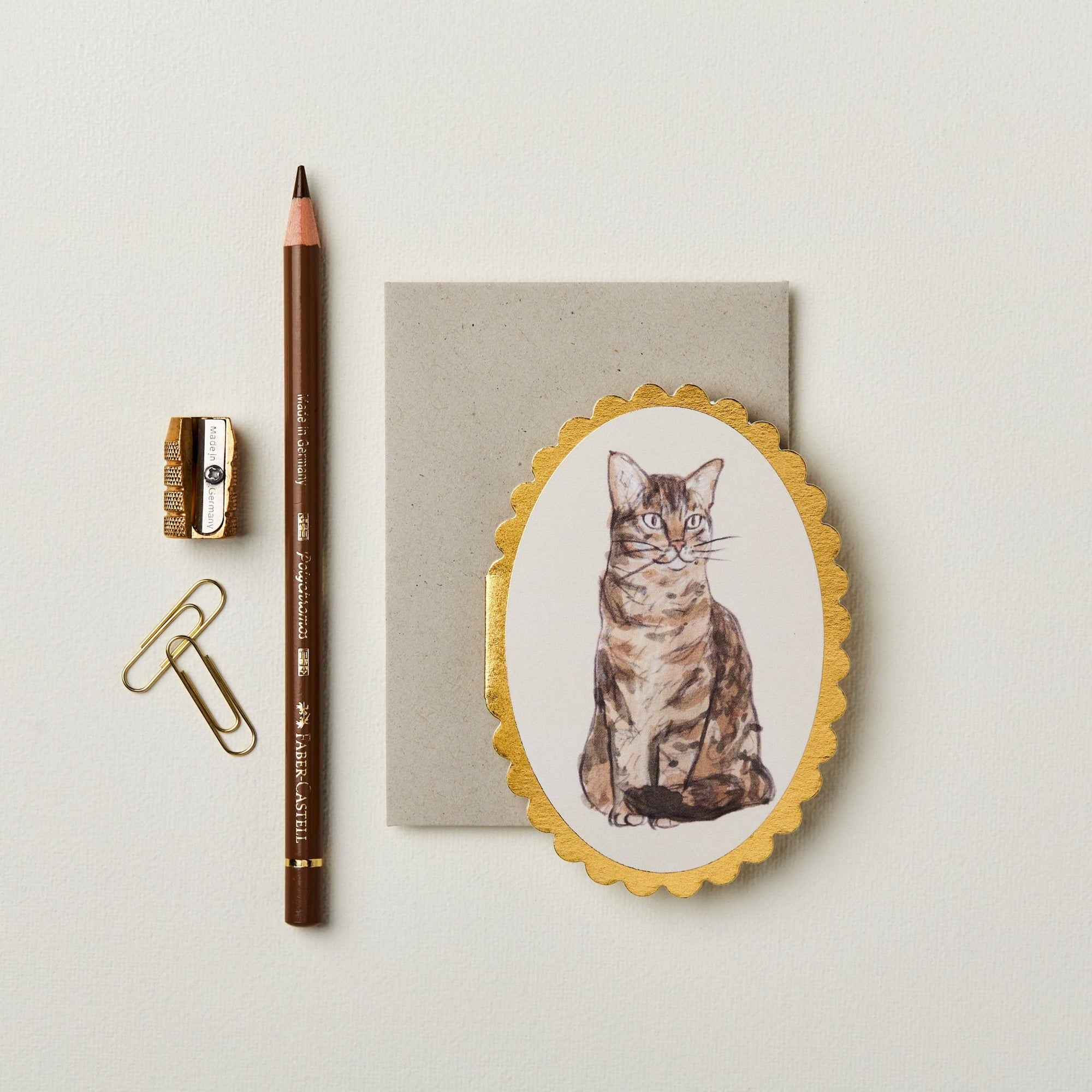 Tabby Cat Mini Card - Box Turtle