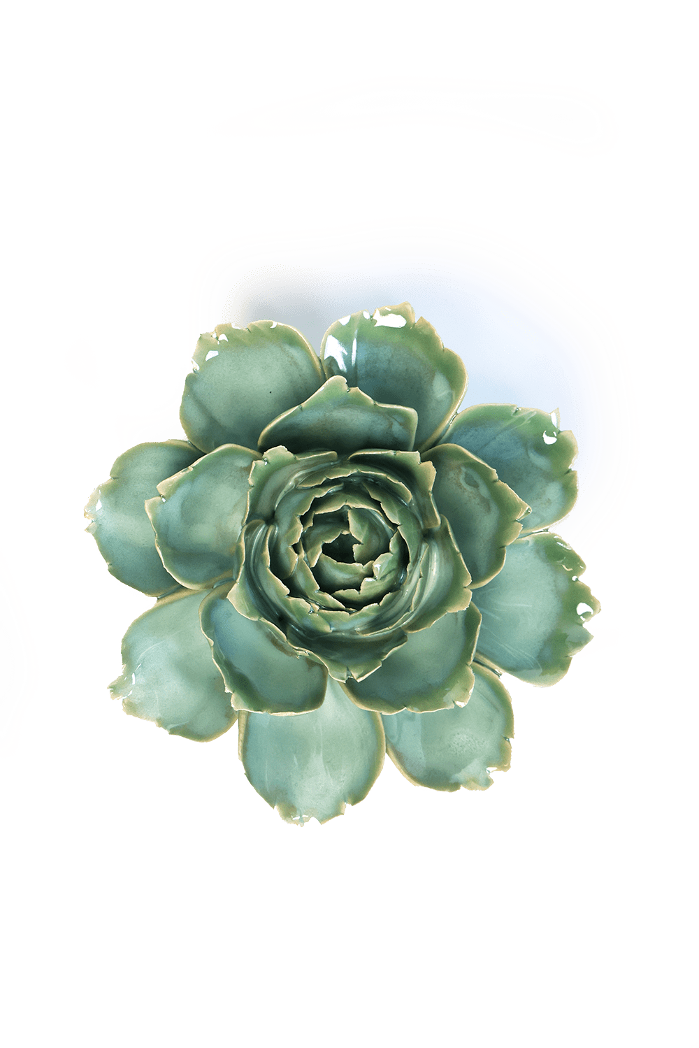 Tabletop Milk Teal Ceramic Camellia - Box Turtle
