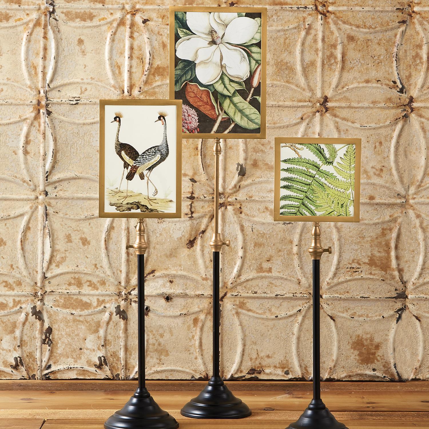 Telescopic Vision Double Sided Frame - Box Turtle