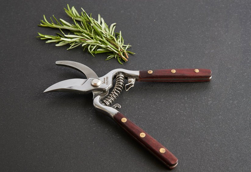 Thai Kitchen & Garden Shears - Box Turtle