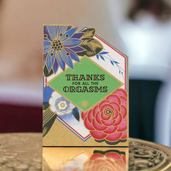 Thanks for All the Orgasms Anniversary Card - Box Turtle