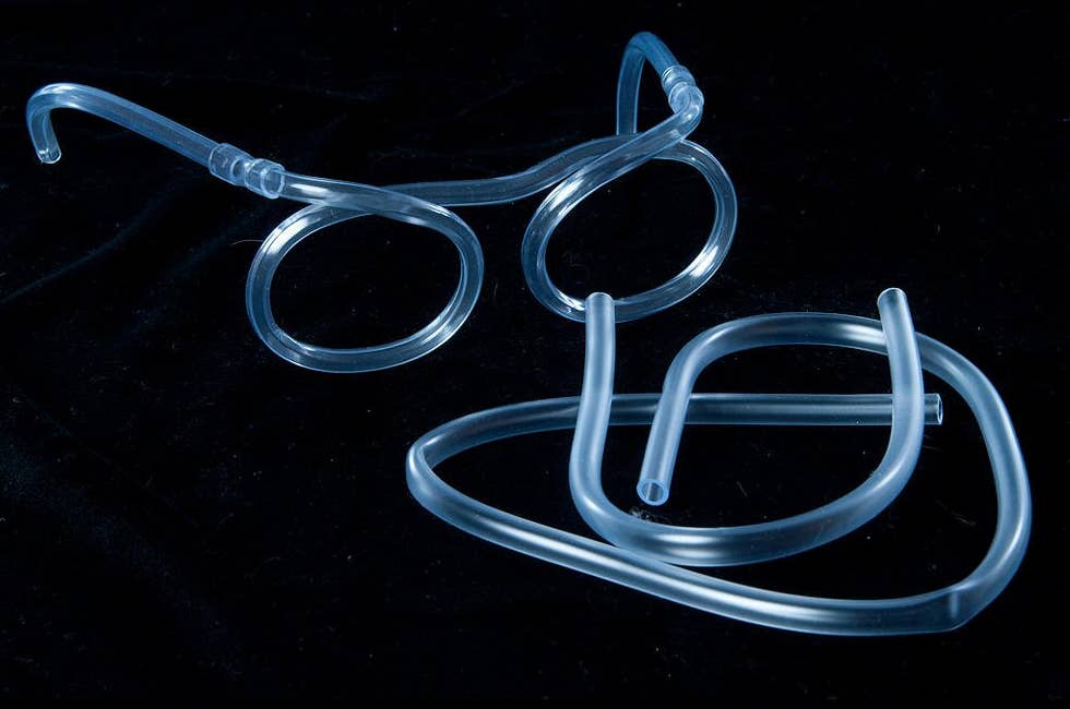 The Amazing Silly Straw - Box Turtle