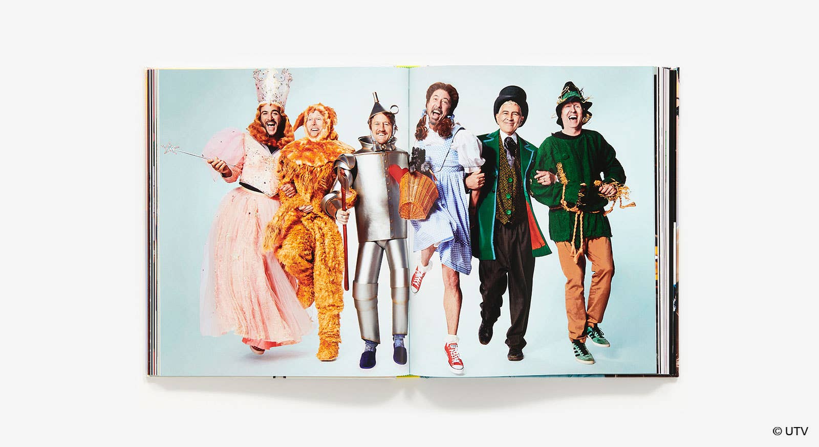 The Art of the SNL Portrait - Box Turtle