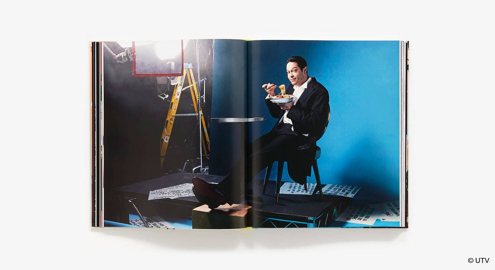 The Art of the SNL Portrait - Box Turtle