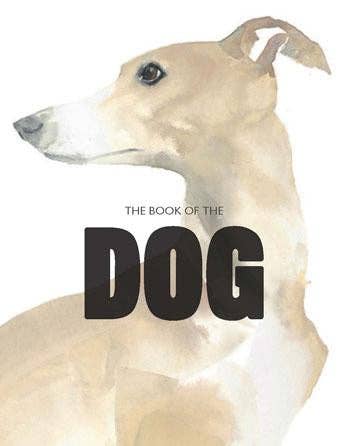 The Book of the Dog - Box Turtle