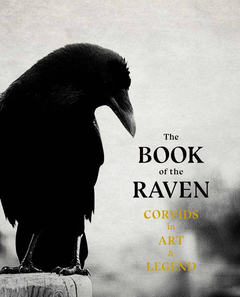 The Book of the Raven - Box Turtle