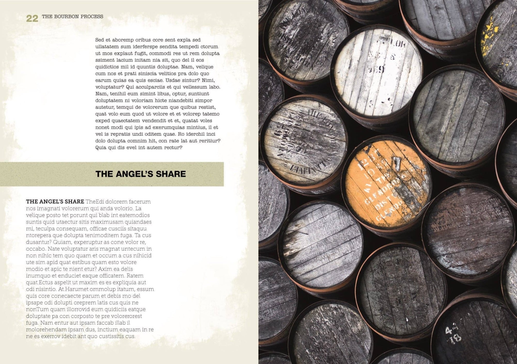 The Bourbon Bible - Box Turtle