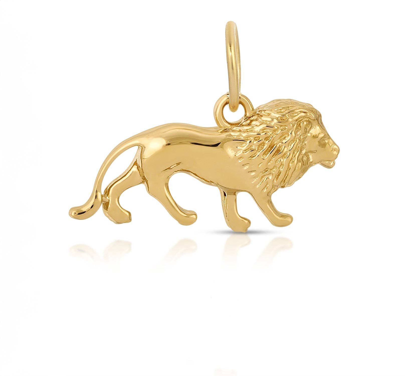 The Fierce Lion Charm - Box Turtle