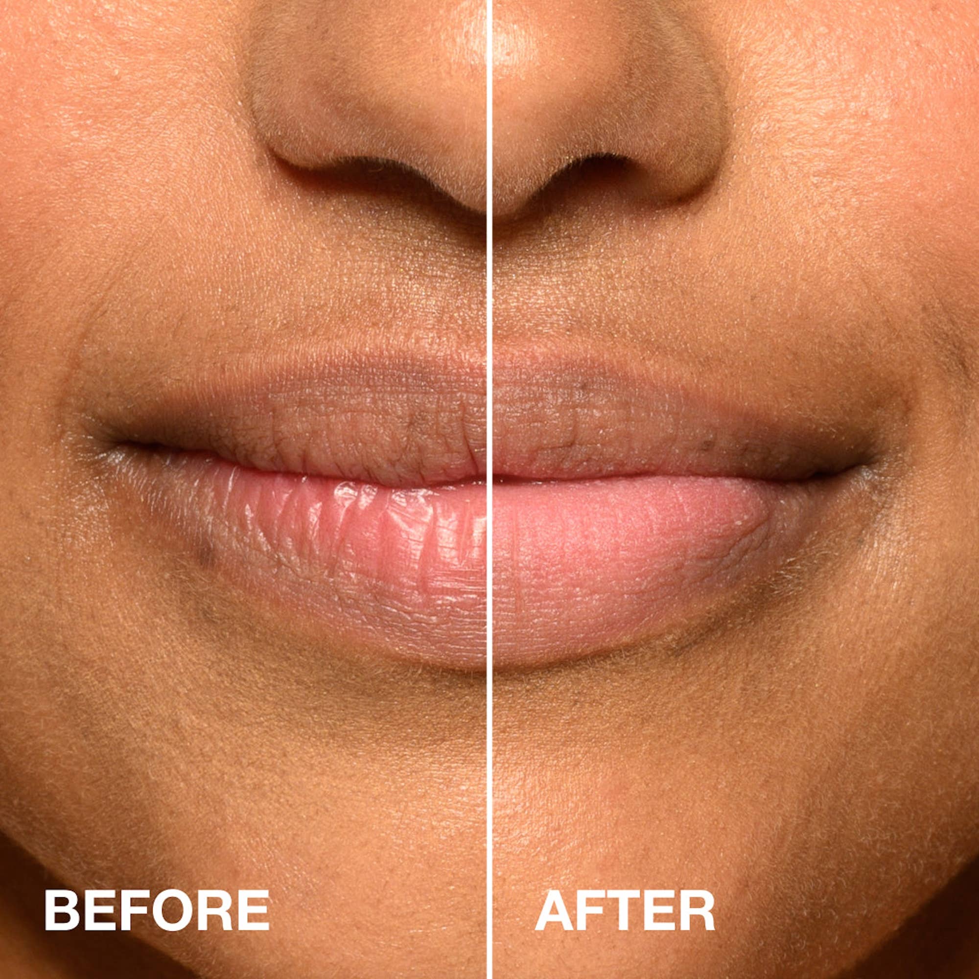 The Lip Airbrush - Box Turtle