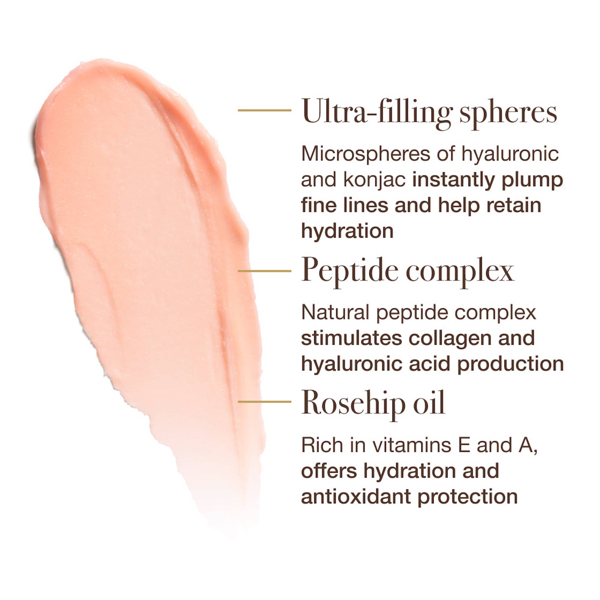 The Lip Airbrush - Box Turtle