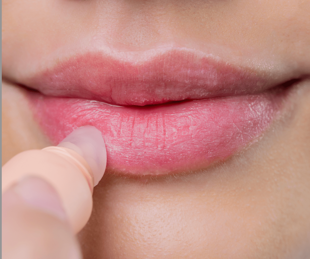 The Lip Airbrush - Box Turtle