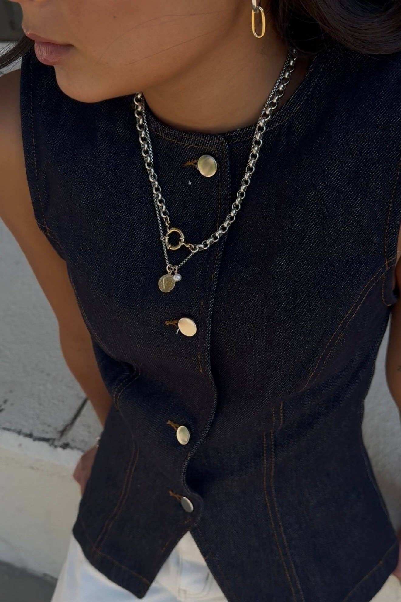 THE MERIDIAN CHAIN - Box Turtle