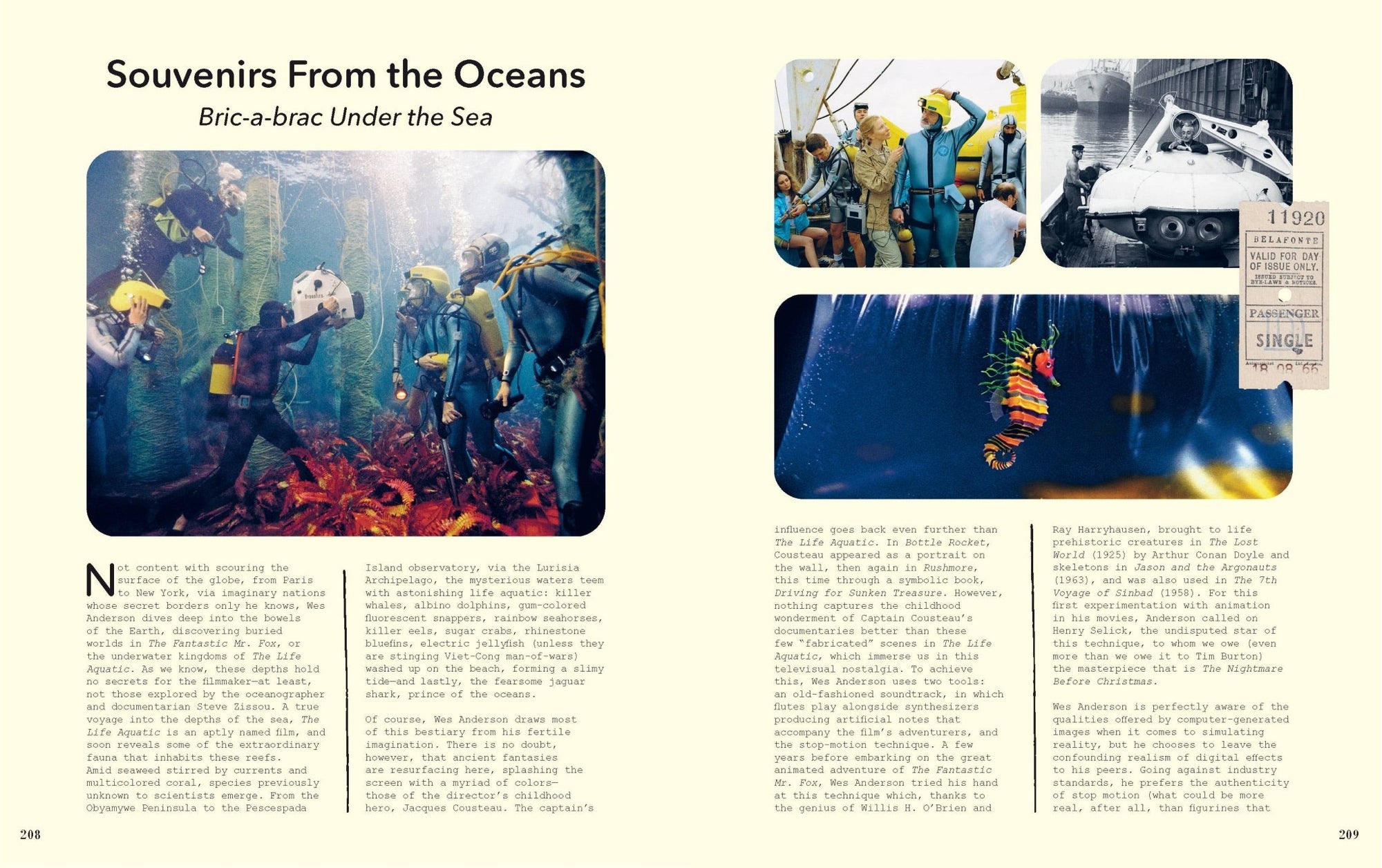 The Museum Of Wes Anderson - Box Turtle