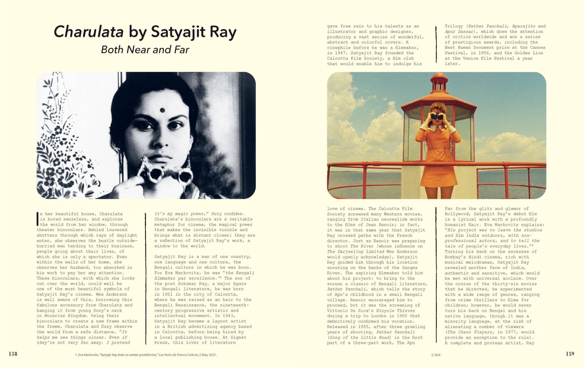 The Museum Of Wes Anderson - Box Turtle