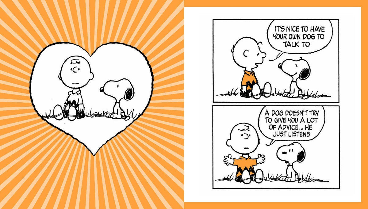 The Peanuts Guide to Happiness - Box Turtle