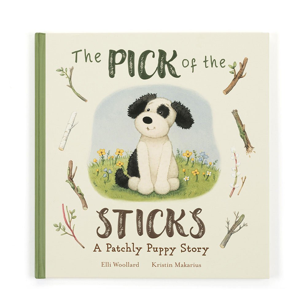 The Pick of the Sticks Book - Box Turtle