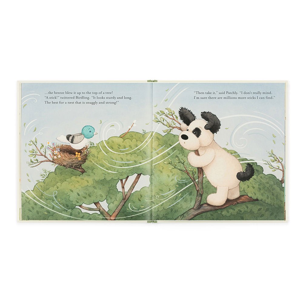 The Pick of the Sticks Book - Box Turtle