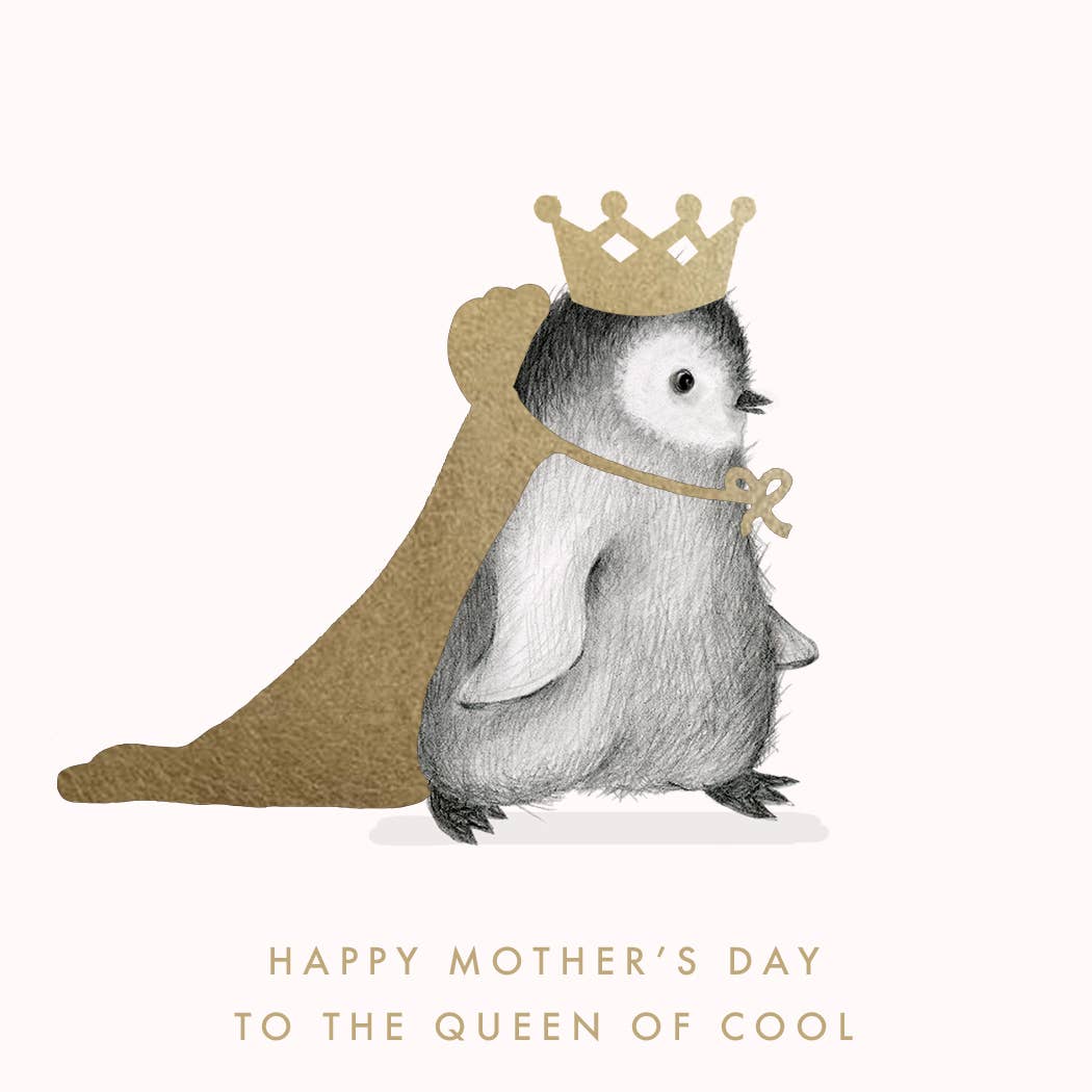The Queen of Cool - Box Turtle