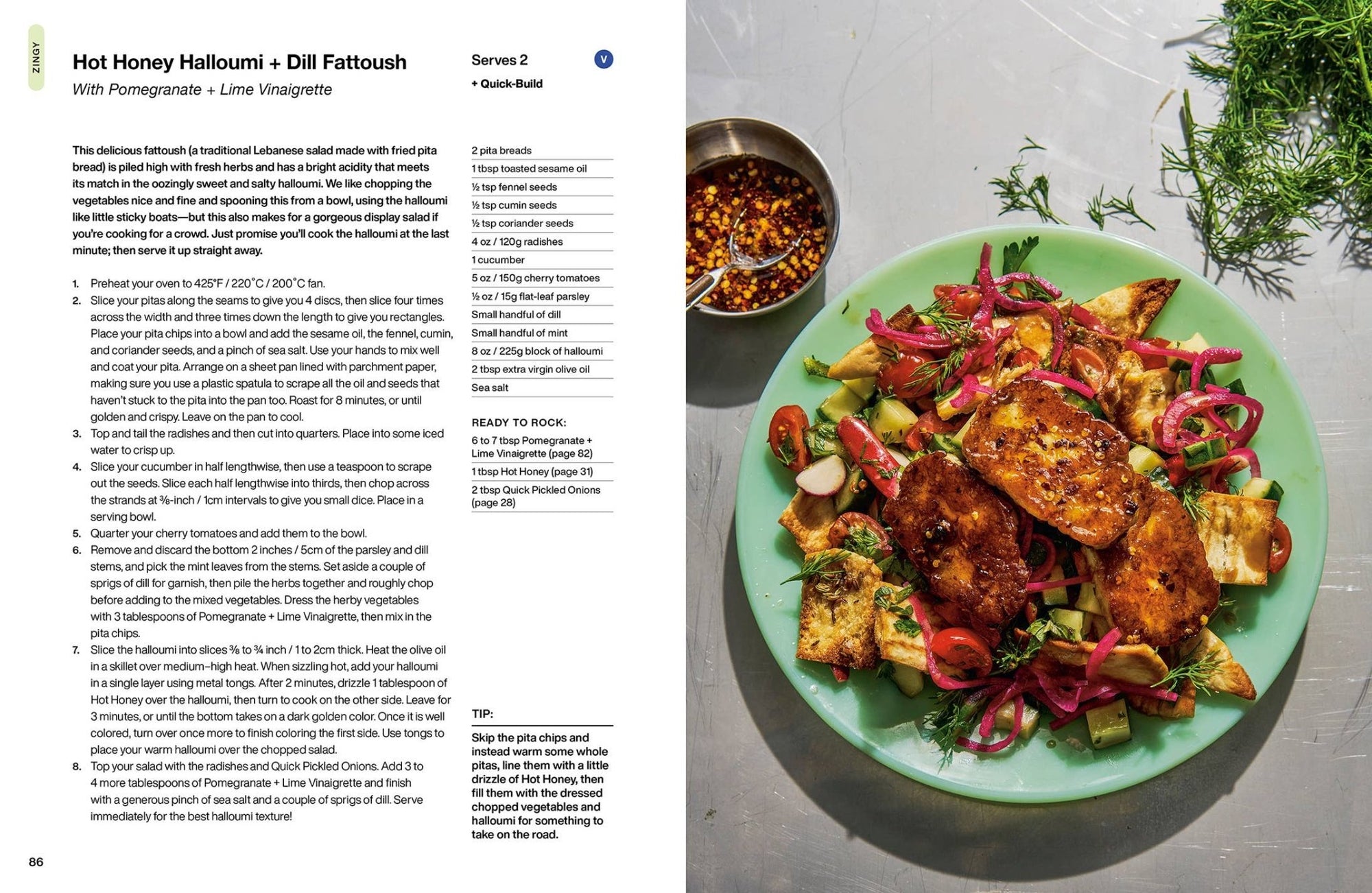 The Salad Project - Box Turtle