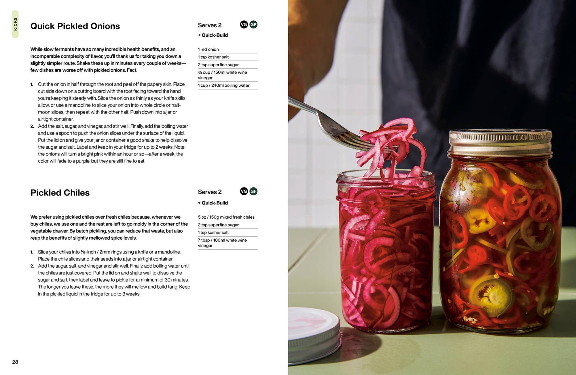 The Salad Project - Box Turtle