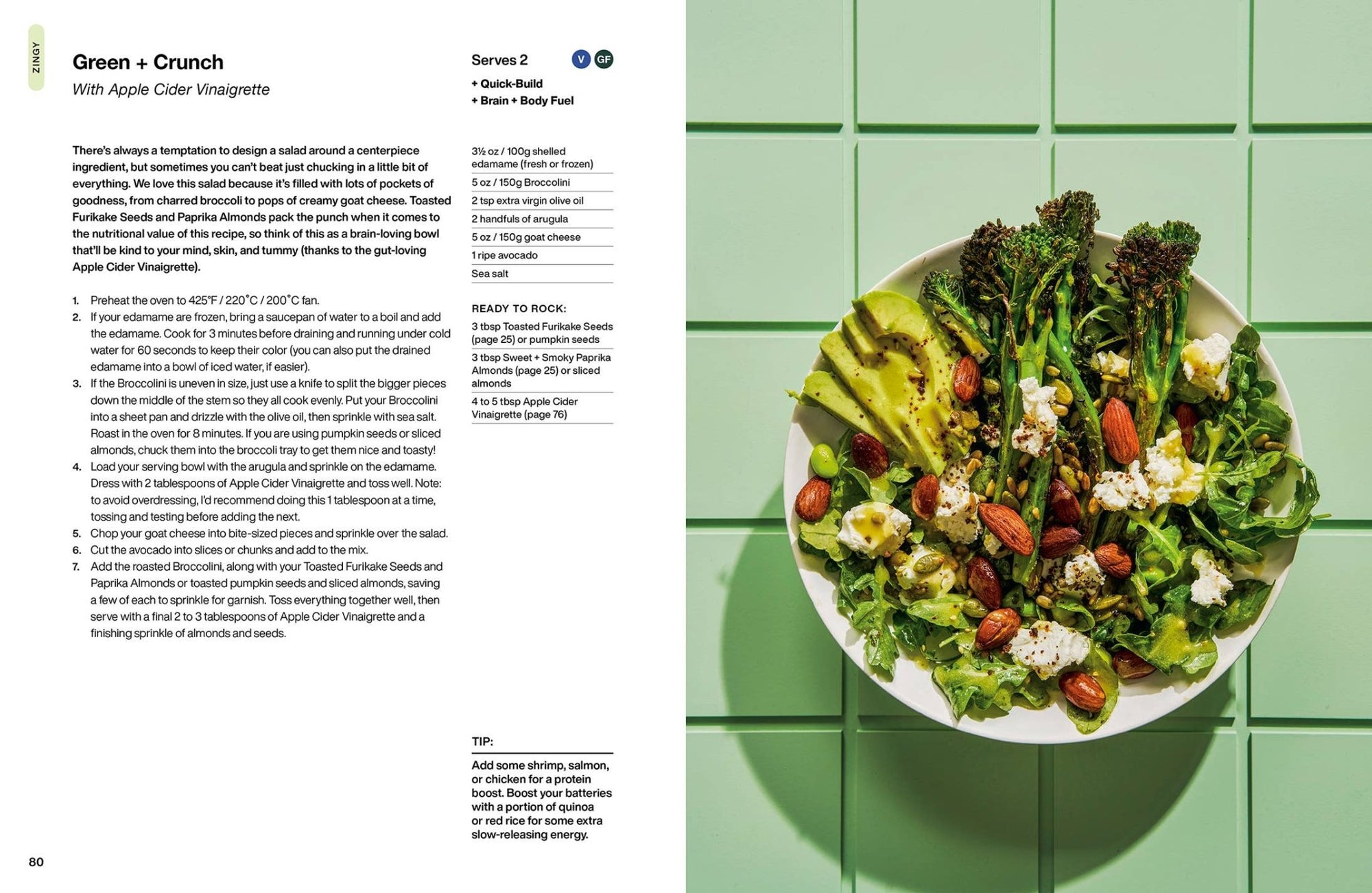 The Salad Project - Box Turtle