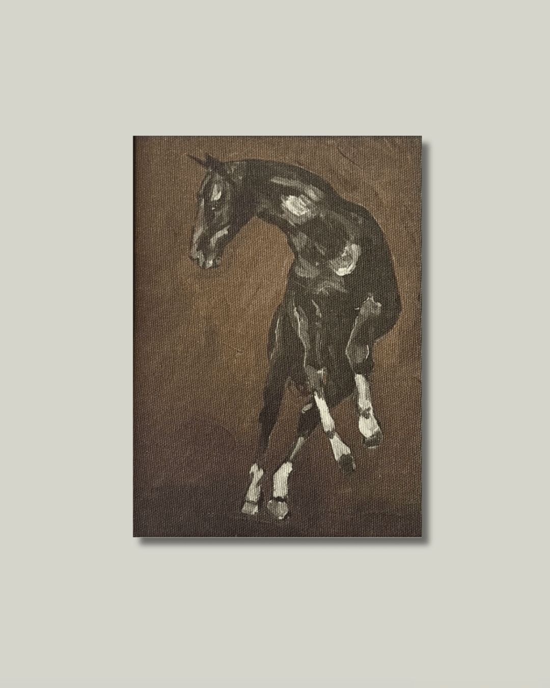 The Stallion Print - Box Turtle