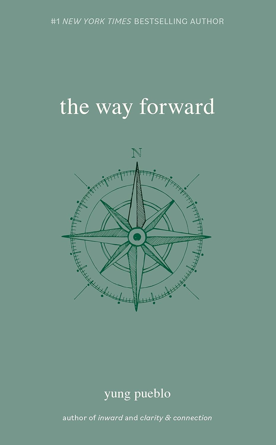 The Way Forward - Box Turtle