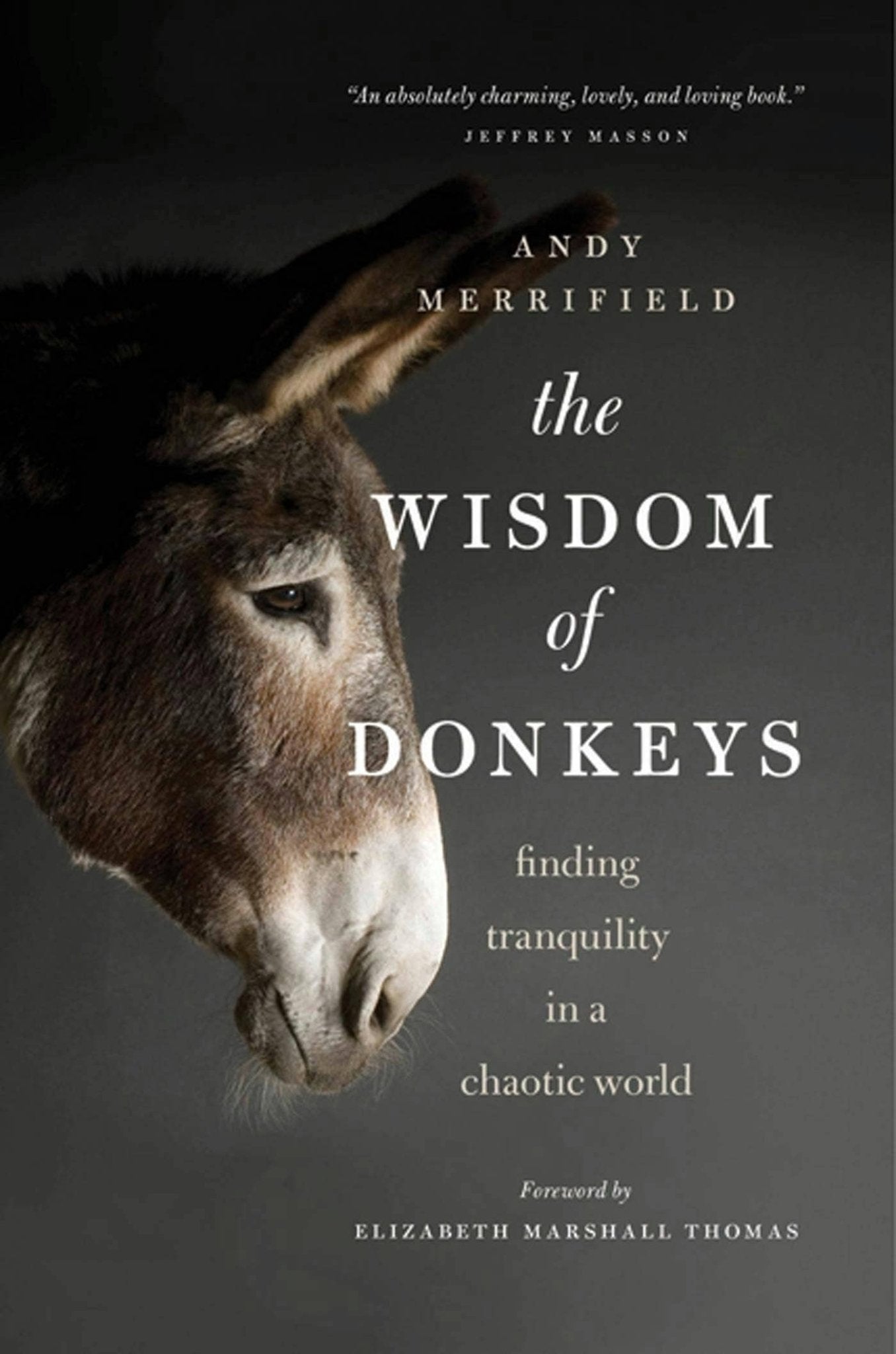 The Wisdom Of Donkeys: Finding Tranquility - Box Turtle