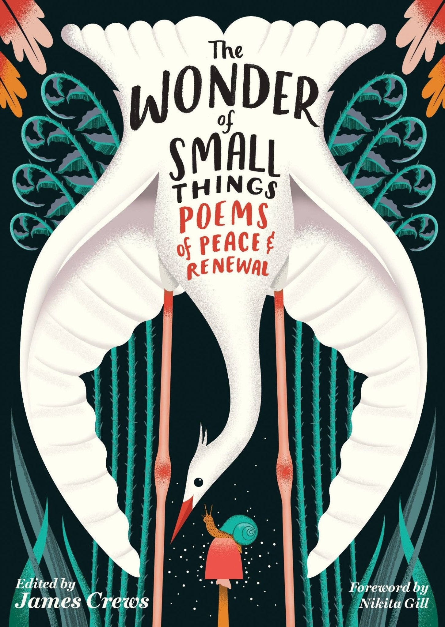 The Wonder of Small Things - Box Turtle