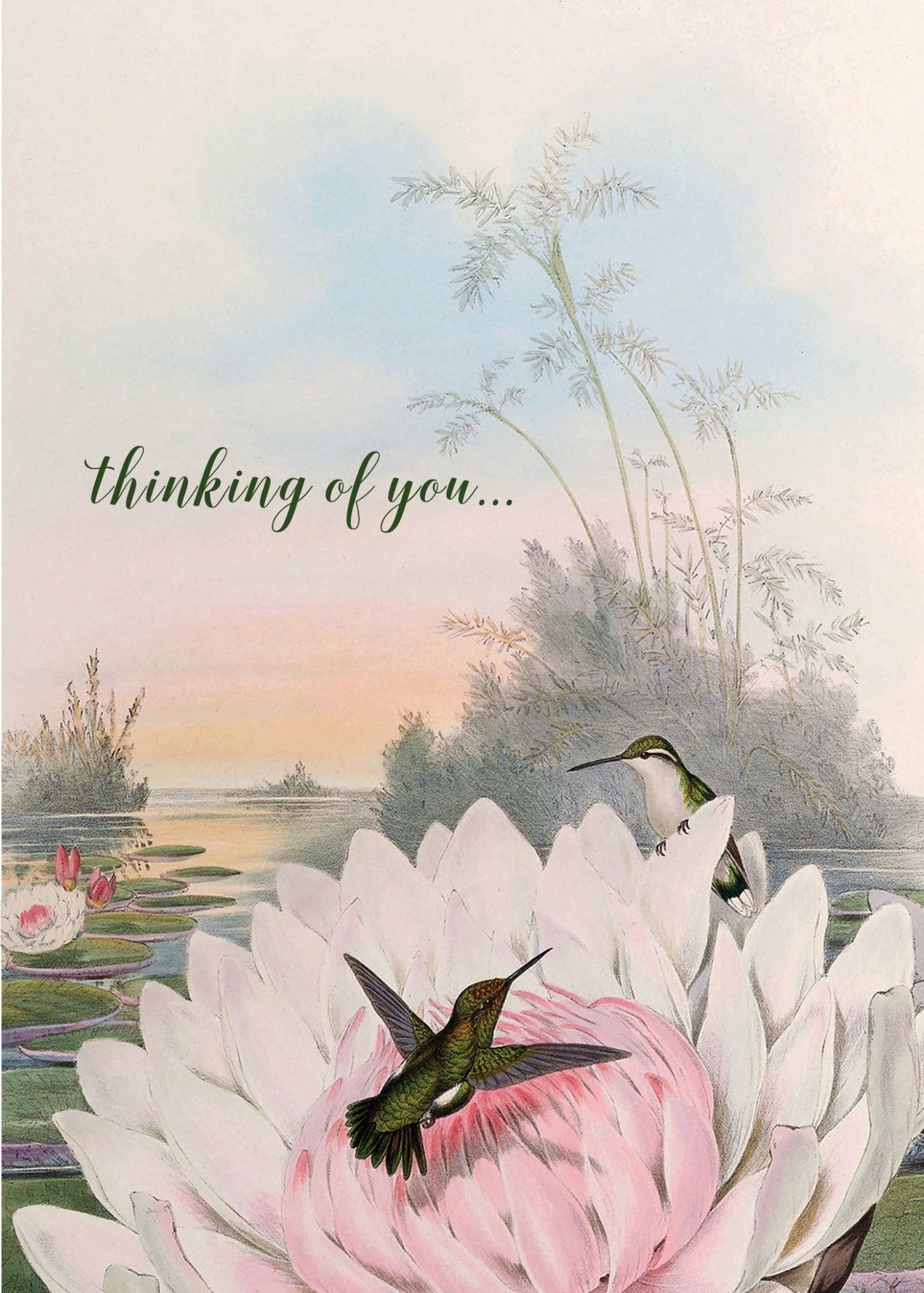 Thinking of You Card - Box Turtle